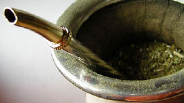 Yerba mate